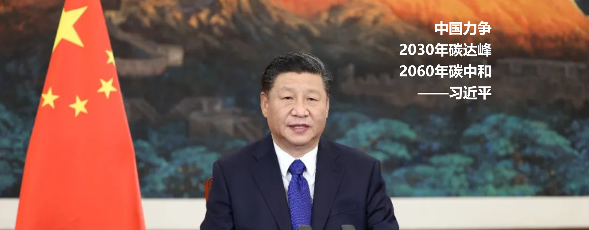习主席